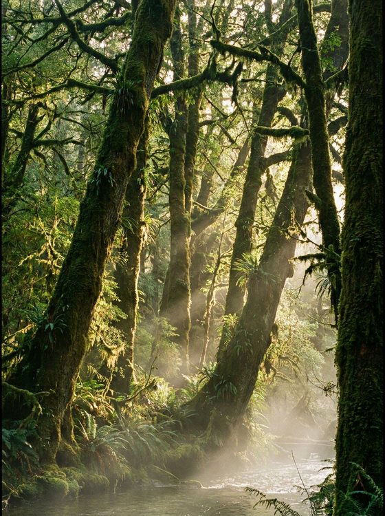 Deep Green world